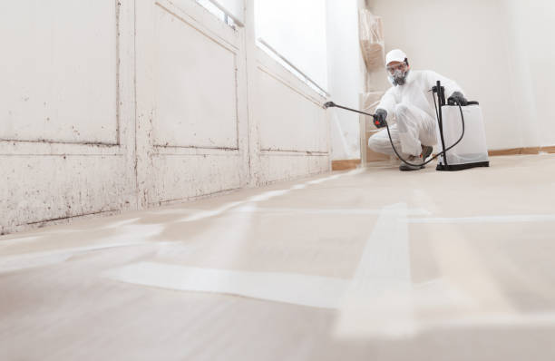 Black mold remediation team in Orviston